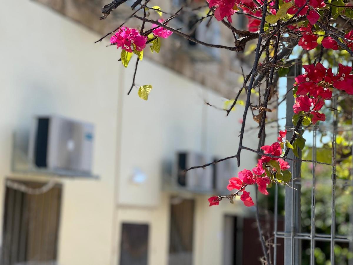 The Lion Hotel ハイファ エクステリア 写真